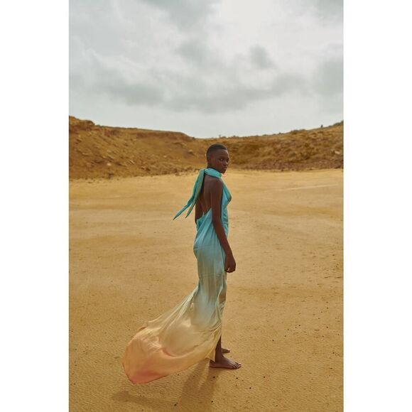 Baobab Collection Dresses & Skirts - BAOBAB Providencia Maxi Dress size M Renacer